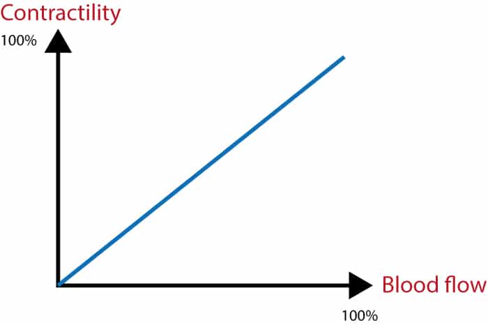 Figure 1. The relation between myocardial oxygen supply and contractile function. The relation is almost linear, meaning that contractile function is perfectly aligned with blood flow. It follows that contractility increases when blood flow increases (to a certain limit) and it may also decreases when blood flow is reduced.