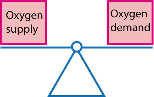 Figure 2. The balance between oxygen supply and demand.