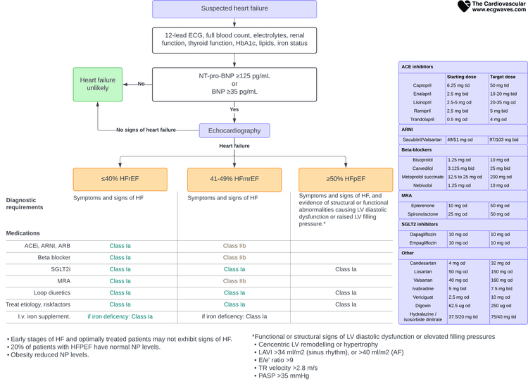 Diagnostisk algoritme for hjertesvikt: mistenkt hjertesvikt, EKG og laboratorieprøver, grenseverdier for natriuretiske peptider, ekkokardiografi og klassifisering i HFrEF, HFmrEF og HFpEF med anbefalingsklasser og legemiddeldoser.