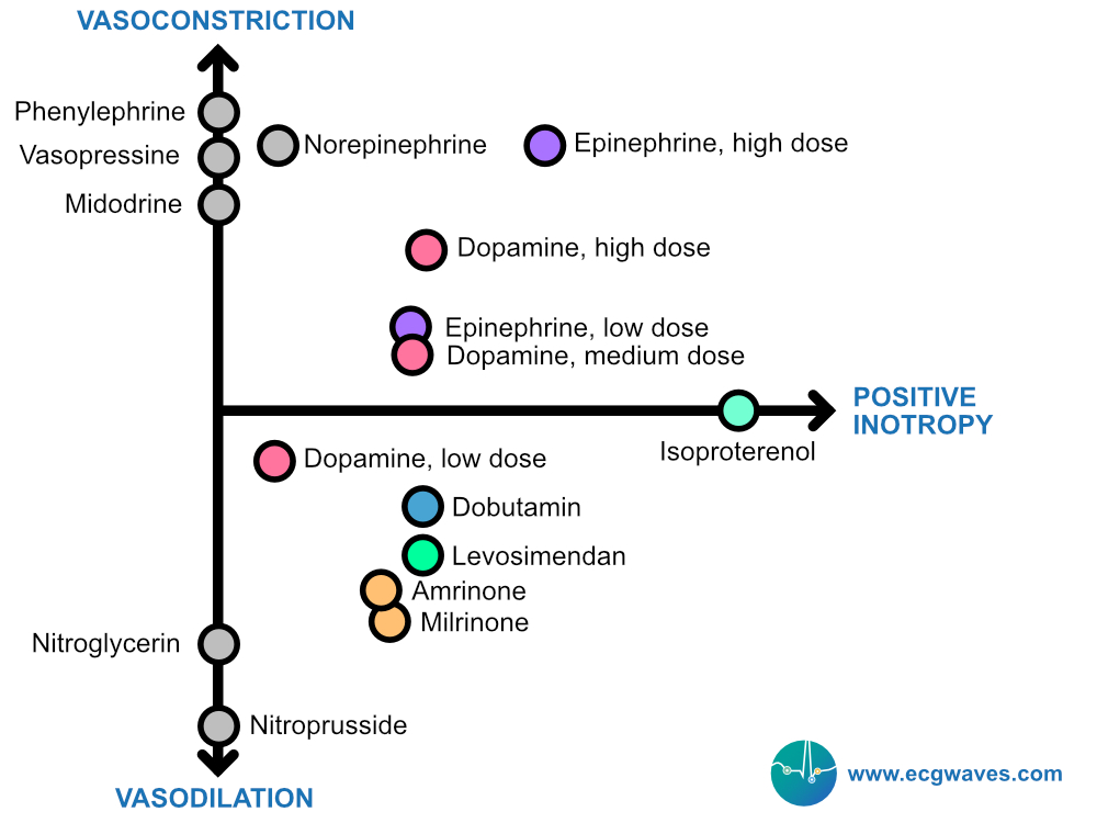 Inotropes and vasopressors.