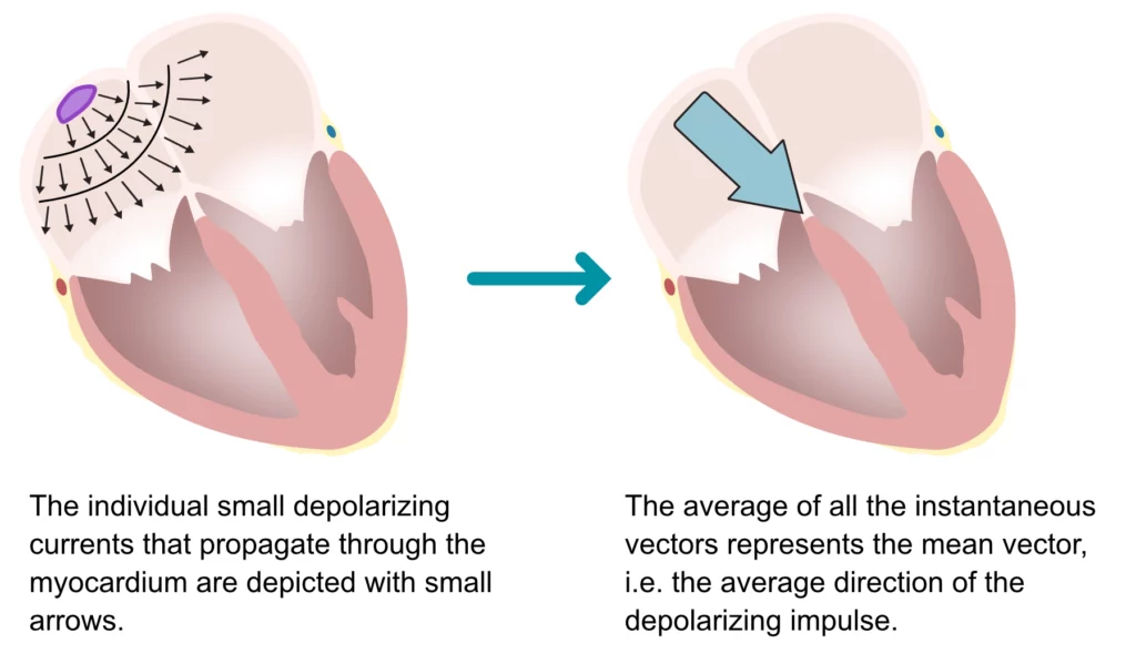 Figure 5. The principle of electrical vectors.